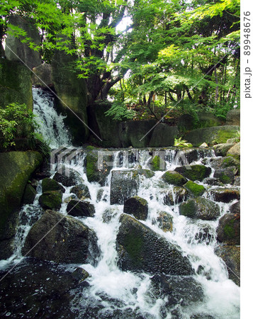 日本庭園の滝 89948676