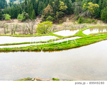 美しい山里の初夏の景色 田植えが始まる米どころ新潟の棚田 美しい山里の初夏の景色 田植えが始まる米どころ新潟の棚田 89949280