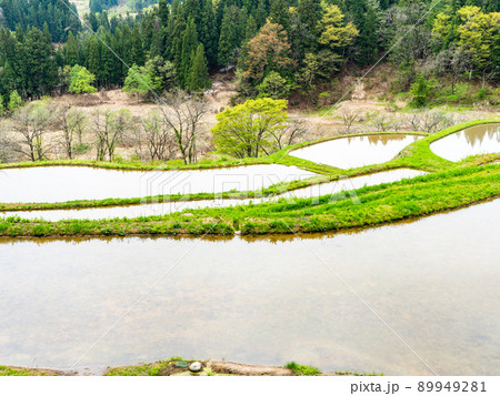 美しい山里の初夏の景色 田植えが始まる米どころ新潟の棚田 美しい山里の初夏の景色 田植えが始まる米どころ新潟の棚田 89949281