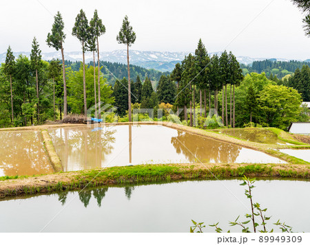 美しい山里の初夏の景色　田植えが始まる米どころ新潟の棚田 89949309