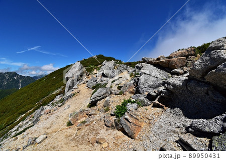 大天井岳山頂に続く登山道 大天井岳山頂に続く登山道 89950431