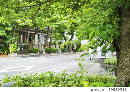 神奈川県横浜市山手（エリスマン邸、山手234番館） 89950558