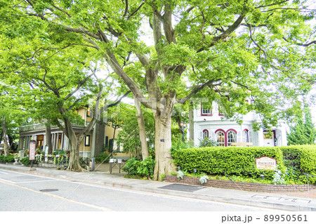 神奈川県横浜市山手（エリスマン邸、山手234番館） 89950561