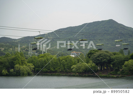 風景 湖 ソウル大公園 89950582