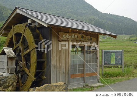 【京都府福知山市】毛原の棚田　 89950686