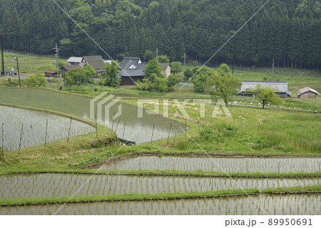 【京都府福知山市】毛原の棚田　 89950691
