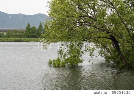 風景 景色 夏 89951136
