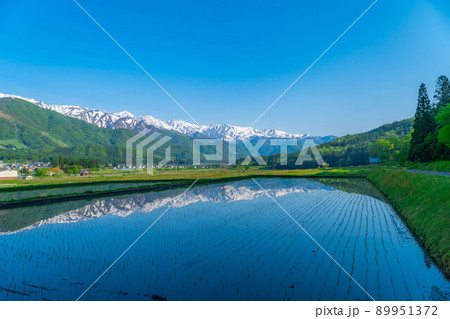 初夏の白馬村・田んぼ水鏡【長野県】 初夏の白馬村・田んぼ水鏡【長野県】 89951372