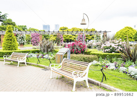 神奈川県横浜市山下公園 89951662