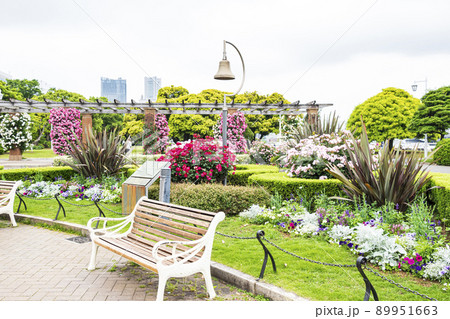 神奈川県横浜市山下公園 89951663