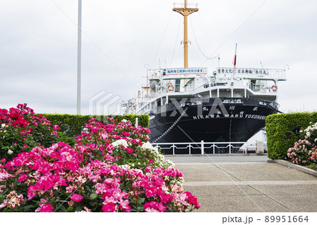 神奈川県横浜市山下公園 89951664