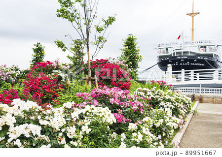 神奈川県横浜市山下公園 89951667