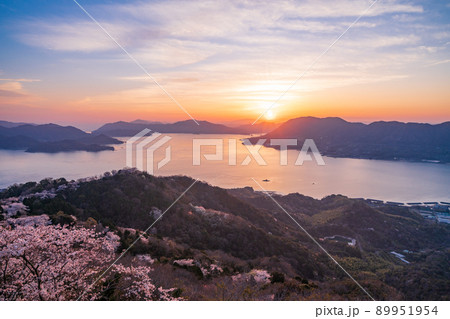 瀬戸内しまなみ海道・岩城島　積善山三千本桜（後方に多々羅大橋）　夕景 89951954