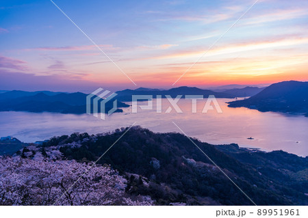瀬戸内しまなみ海道・岩城島 積善山三千本桜(後方に多々羅大橋) 夕景 瀬戸内しまなみ海道・岩城島 積善山三千本桜(後方に多々羅大橋) 夕景 89951961