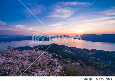 瀬戸内しまなみ海道・岩城島　積善山三千本桜（後方に多々羅大橋）　夕景 89951963