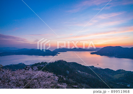 瀬戸内しまなみ海道・岩城島　積善山三千本桜（後方に多々羅大橋）　夕景 89951968