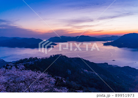 瀬戸内しまなみ海道・岩城島 積善山三千本桜(後方に多々羅大橋) 夕景 瀬戸内しまなみ海道・岩城島 積善山三千本桜(後方に多々羅大橋) 夕景 89951973