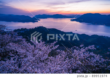 瀬戸内しまなみ海道・岩城島　積善山三千本桜（後方に多々羅大橋）　夕景 89951974