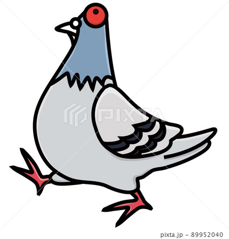 我が物顔で堂々と歩く鳩 我が物顔で堂々と歩く鳩 89952040