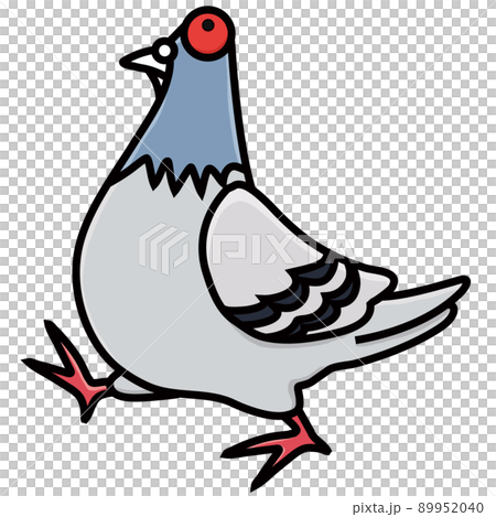 我が物顔で堂々と歩く鳩 我が物顔で堂々と歩く鳩 89952040