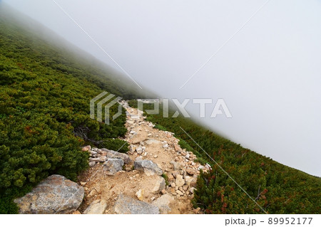 大天井岳から燕岳に向かう霧の縦走路 89952177
