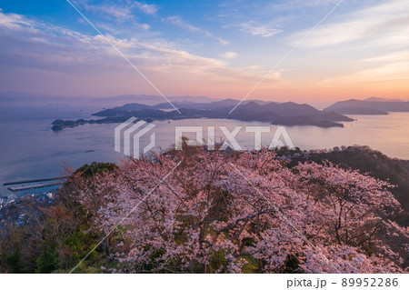 瀬戸内しまなみ海道・岩城島　積善山三千本桜　夕景 89952286