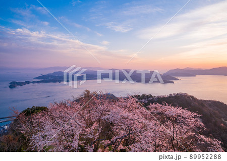 瀬戸内しまなみ海道・岩城島 積善山三千本桜 夕景 瀬戸内しまなみ海道・岩城島 積善山三千本桜 夕景 89952288