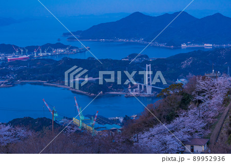 瀬戸内ゆめしま海道 積善山三千本桜 夕景 瀬戸内ゆめしま海道 積善山三千本桜 夕景 89952936