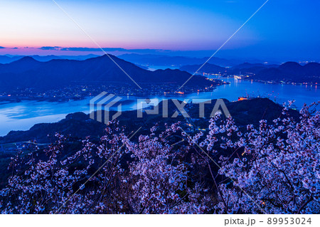 瀬戸内しまなみ海道・岩城島 積善山三千本桜 夕景 瀬戸内しまなみ海道・岩城島 積善山三千本桜 夕景 89953024