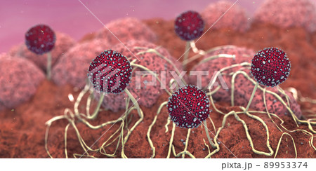 Microscopic closeup of growing mildew - 3d illustration Microscopic closeup of growing mildew - 3d illustration 89953374