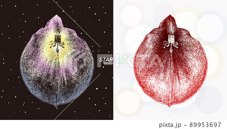 宇宙の銀河のような線で描画されたセイボ 宇宙の銀河のような線で描画されたセイボ 89953697