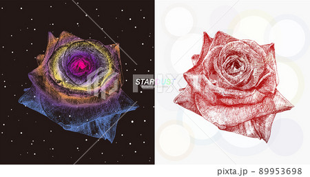宇宙の銀河のような線で描画されたローズ 宇宙の銀河のような線で描画されたローズ 89953698