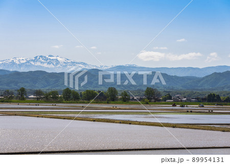 《石川県》加賀市　水田の田植え風景と残雪の白山連峰 89954131