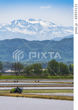 《石川県》加賀市　水田の田植え風景と残雪の白山連峰 89954132