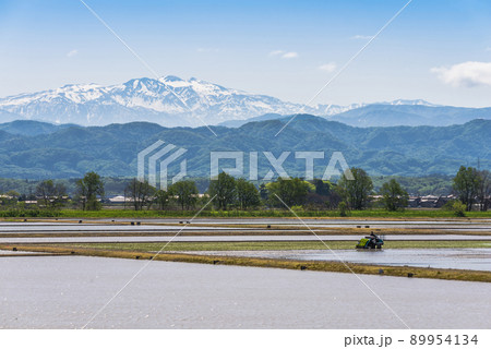 《石川県》加賀市　水田の田植え風景と残雪の白山連峰 89954134