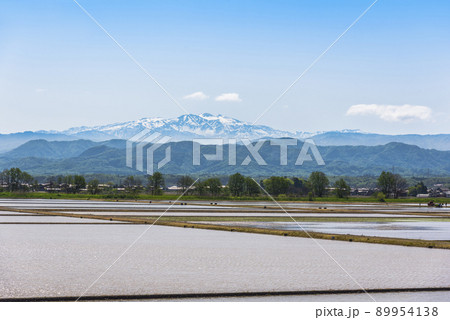 《石川県》加賀市　水田の田植え風景と残雪の白山連峰 89954138