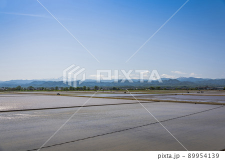 《石川県》加賀市　水田の田植え風景と残雪の白山連峰 89954139