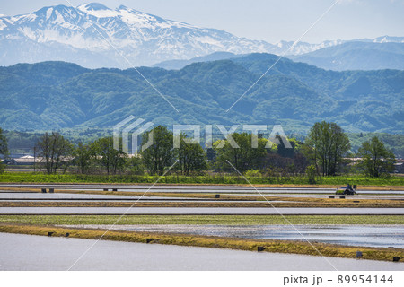 《石川県》加賀市　水田の田植え風景と残雪の白山連峰 89954144