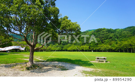 公園の木陰 福岡市長谷ダム記念公園 公園の木陰 福岡市長谷ダム記念公園 89954290