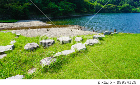 薬王寺水辺公園の広場 89954329