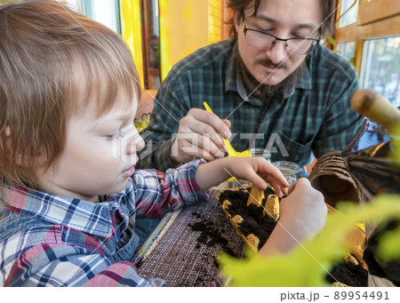 father helps his boy plant seeds in a cassettes from eggs father helps his boy plant seeds in a cassettes from eggs 89954491