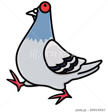 我が物顔で堂々と歩く鳩 89954697