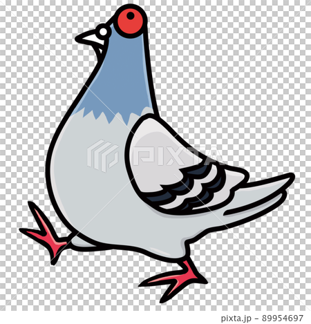我が物顔で堂々と歩く鳩 89954697