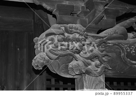 埼玉県本庄市の金鑚神社　手水舎の狛犬 89955337