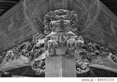 埼玉県本庄市の金鑚神社　手水舎の狛犬 89955339