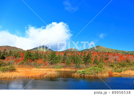 【青森県】紅葉の水蓮沼と八甲田連峰 【青森県】紅葉の水蓮沼と八甲田連峰 89956538