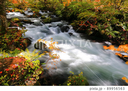 【青森県】石ケ戸付近の奥入瀬渓流 89956563