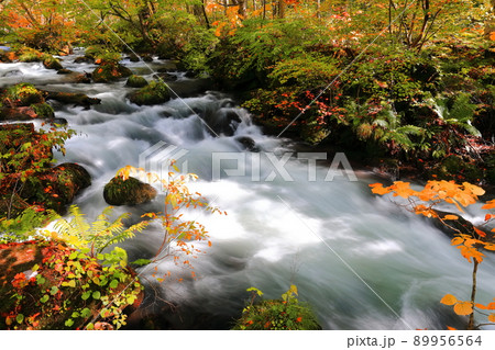 【青森県】石ケ戸付近の奥入瀬渓流 89956564