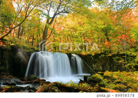 【青森県】紅葉の銚子大滝(奥入瀬渓流) 【青森県】紅葉の銚子大滝(奥入瀬渓流) 89956578