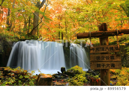 【青森県】紅葉の銚子大滝(奥入瀬渓流) 【青森県】紅葉の銚子大滝(奥入瀬渓流) 89956579